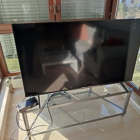 Charming With A Tranquil Balcony Garden View 公寓 威斯巴登