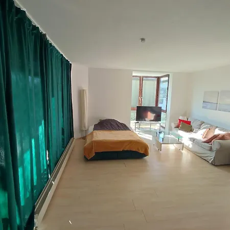 Charming With A Tranquil Balcony Garden View Apartment Wiesbaden