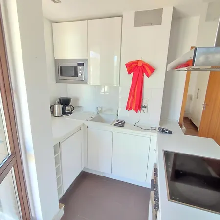 Charming With A Tranquil Balcony Garden View Wiesbaden
