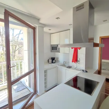 Charming With A Tranquil Balcony Garden View 公寓 威斯巴登