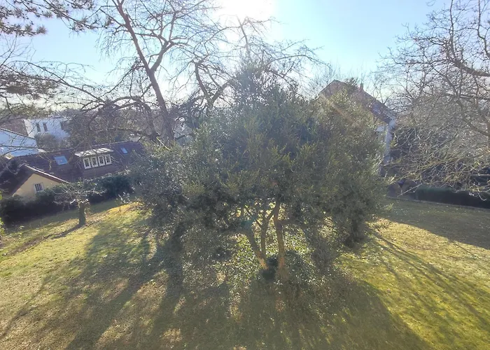 Charming With A Tranquil Balcony Garden View Висбаден